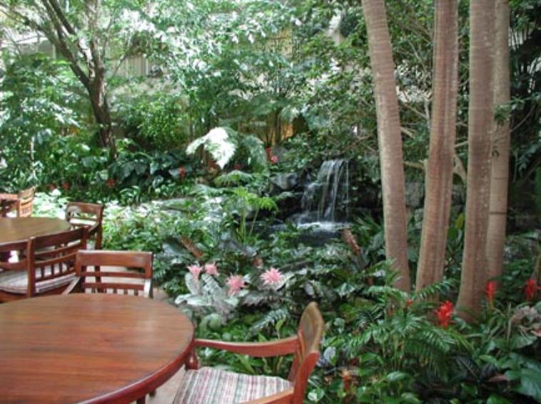 Rainforest Atrium Cafe
