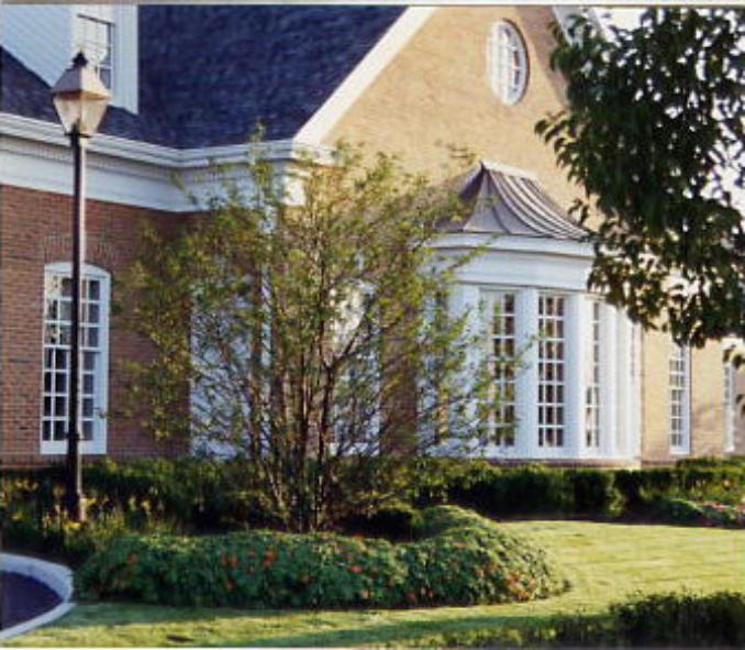 NLSB Bank