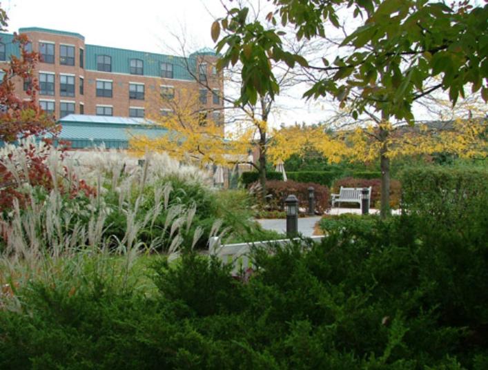 Rooftop Garden at Fairview Village