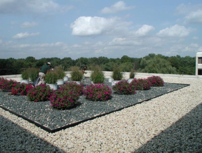 701 E. 22nd Street Rooftop Garden